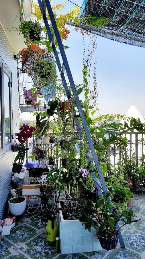 Sena Home 2Nd*Near Danang Han River*Dragon Bridge Exterior foto